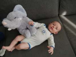 louis